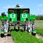 Uso de la inteligencia artificial en la agricultura