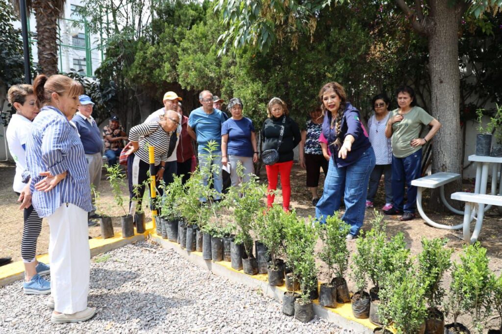Adultos mayores plantan árboles como parte de sus actividades de desarrollo