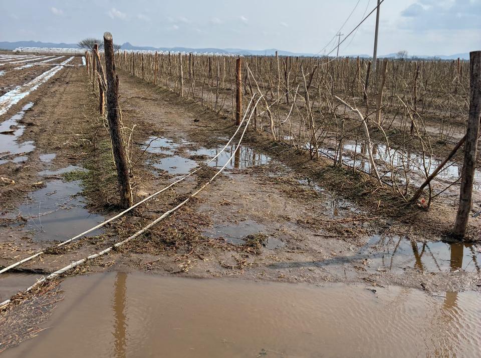 Más de mil 500 hectáreas fueron afectadas tras fuerte tormenta en la zona Centro