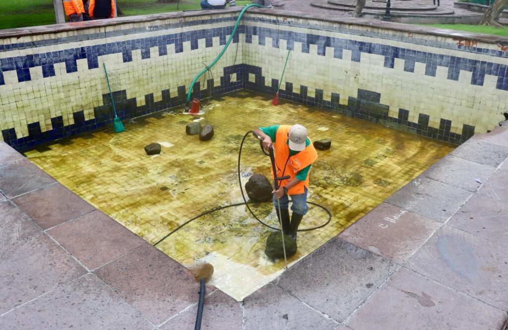 Limpian lago de la Alameda para proteger fauna y mejorar entorno