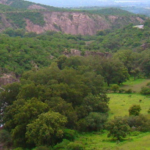 Buscan frenar daños ambientales en la Sierra de Álvarez con plan de manejo