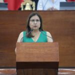 Diputada pide que campañas de gobernador, alcaldes y diputados duren 45 días parejo