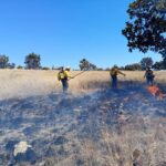 Sedarh, Segam y Protección Civil coordinan acciones preventivas contra incendios