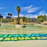 Anuncian promociones en DinOasis para el Día del Estudiante