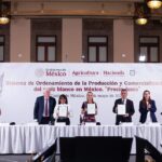 Claudia Sheinbaum firma acuerdo para garantizar precio justo del maíz blanco