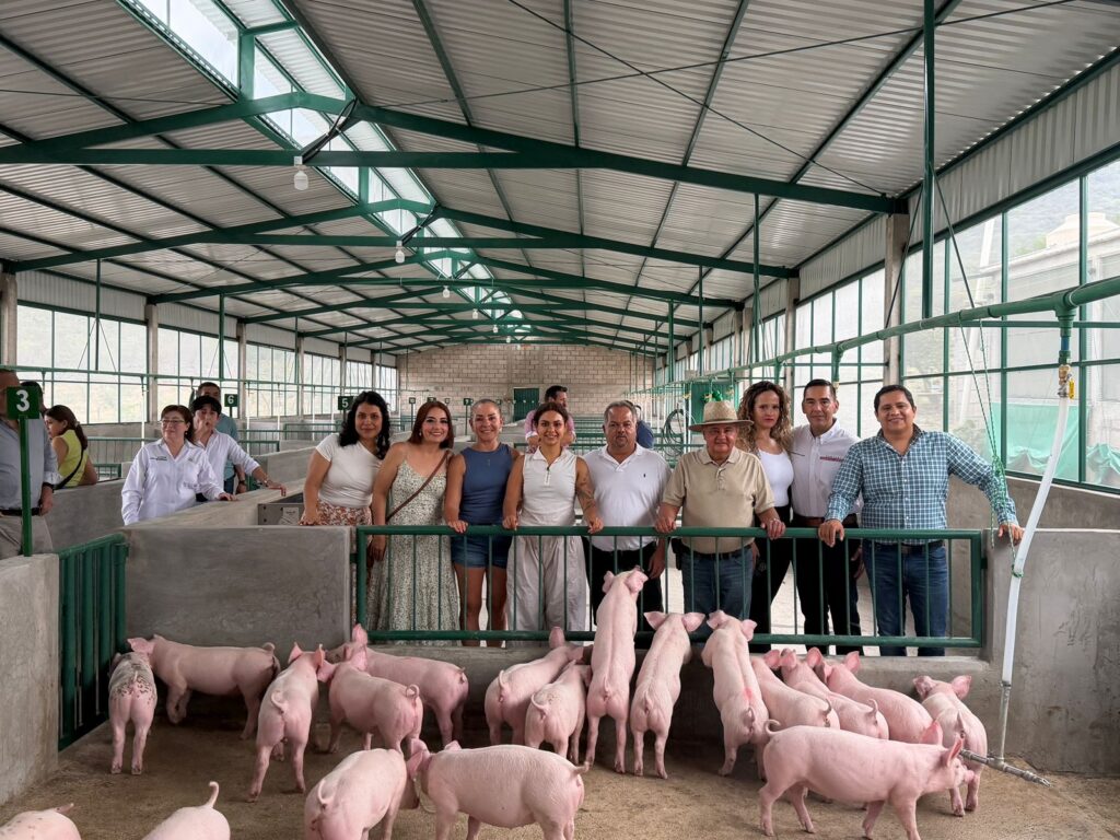 Inauguran granja porcícola en San Ciro de Acosta con apoyo de Sifide