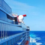 Hantavirus: la variante identificada en el crucero se transmite entre personas