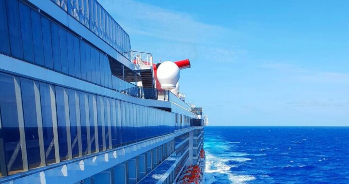 Hantavirus: la variante identificada en el crucero se transmite entre personas
