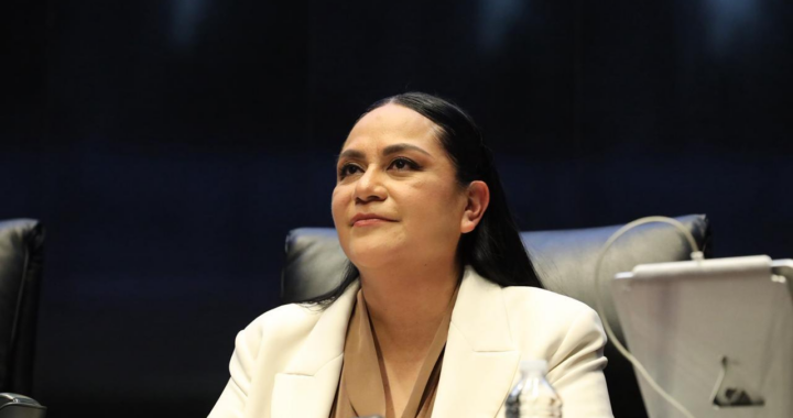 ‘Trayectoria impoluta, no es un concurso de popularidad’: Ariadna Montiel