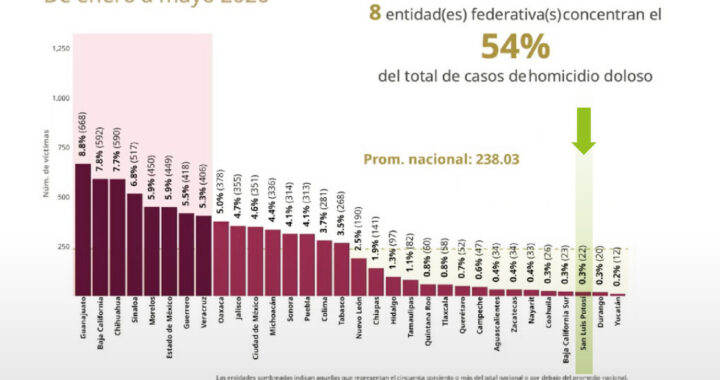 Mañanera de Sheinbaum: SLP lidera la reducción de homicidio doloso en el país con 81%