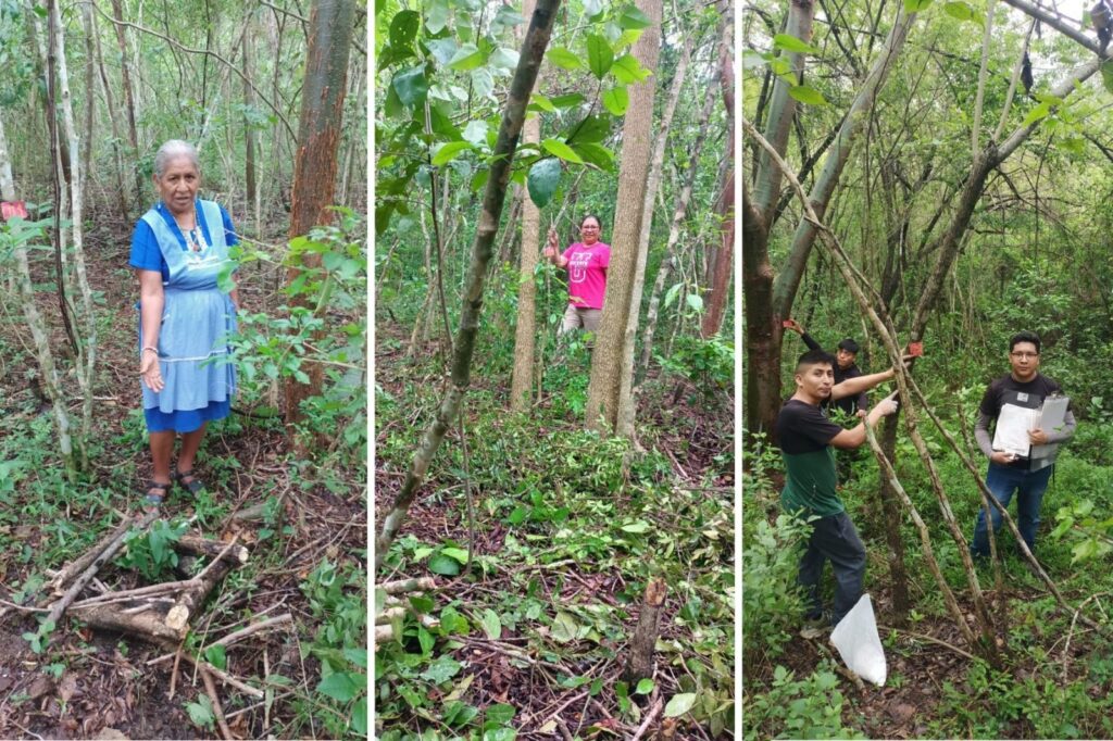 UASLP impulsa la preservación de la medicina tradicional con jardín etnobotánico en Tamazunchale