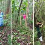 UASLP impulsa la preservación de la medicina tradicional con jardín etnobotánico en Tamazunchale