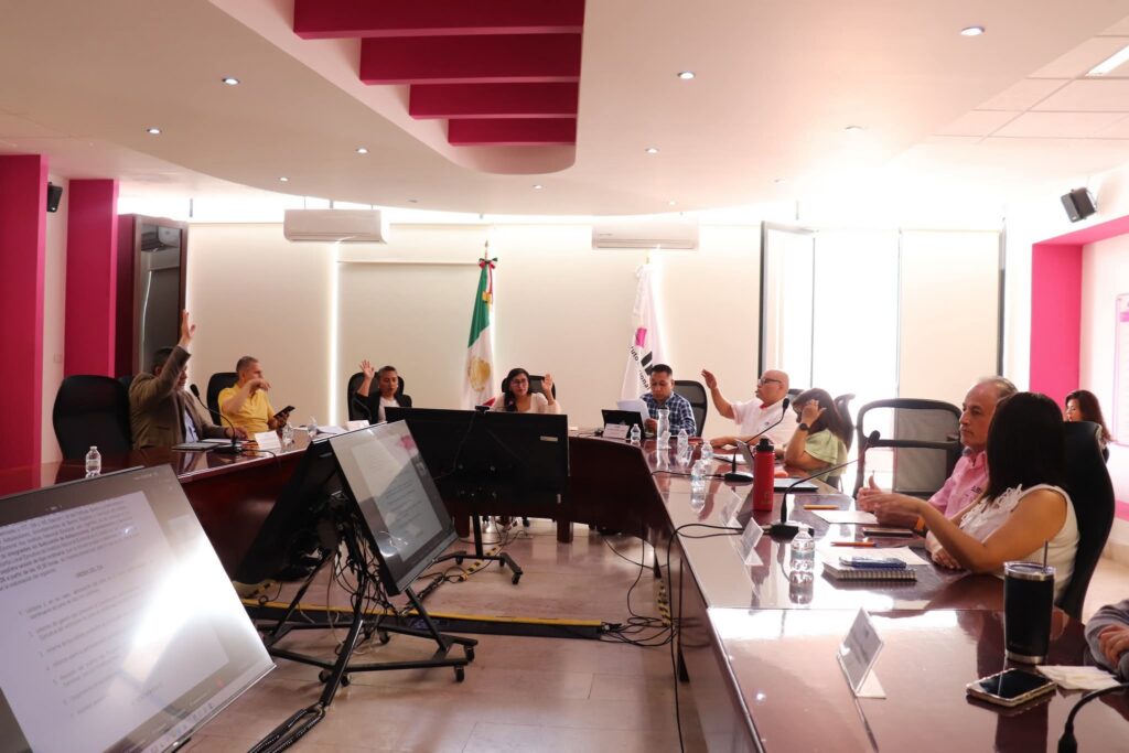 INE en SLP esperará lineamientos para actuar contra actos anticipados de campaña