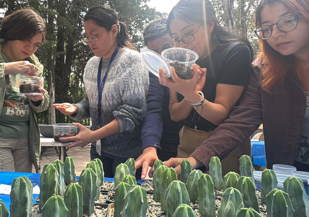 Ipicyt impulsa conservación de cactáceas con talleres de germinación e injerto