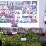 Sheinbaum anuncia Jornada Nacional de Reforestación para el 9 de agosto