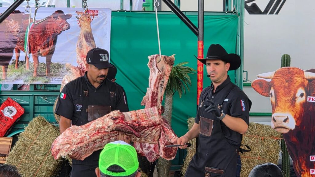 Gallardo afirma que raza de ganado Limousin tiene rendimiento de 74%