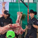 Gallardo afirma que raza de ganado Limousin tiene rendimiento de 74%