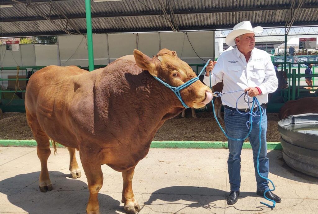 Tierra Ganadera de la Fenapo inicia con mucha participación
