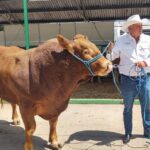 Tierra Ganadera de la Fenapo inicia con mucha participación