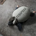 A propósito del mayor robo a la nación que seguiremos pagando: el Fobaproa