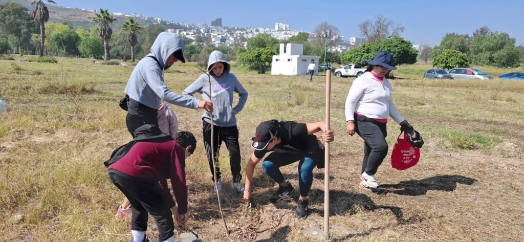 San Luis Potosí produce más de 100 mil árboles y cafetos para reforestación