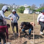San Luis Potosí produce más de 100 mil árboles y cafetos para reforestación