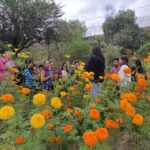 UASLP enseña a preparar bebidas tradicionales con cempasúchil